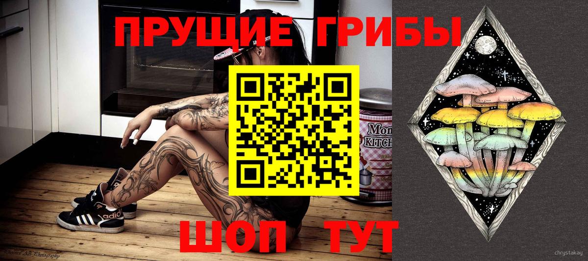 Псилоцибиновые грибы GOLDEN TEACHER Большой Камень